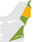 Den barnevennlige stranden på Nordjyllands østkyst trekker hvert år utallige feriegjester til Lyngså.