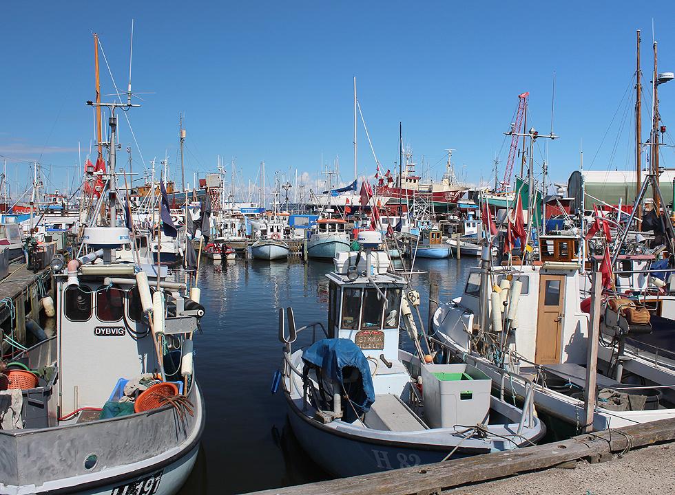 Gilleleje 9